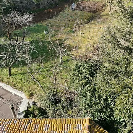 La Casa In Collina * Scansano